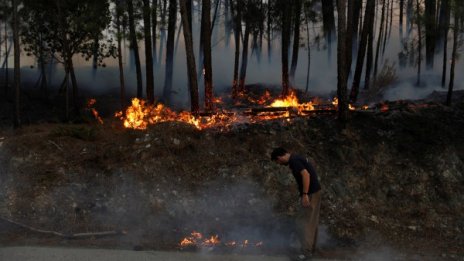 Горски пожари взеха жертви в Испания и Португалия 