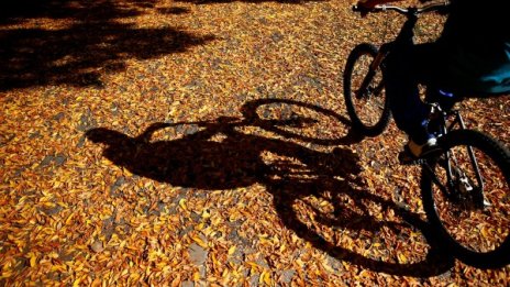 Слънчево и тихо - цяла седмица циганско лято!