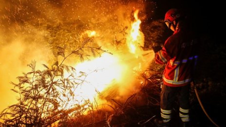 Португалия в траур за десетките жертви на пожарите