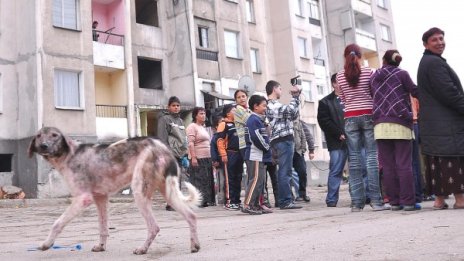 България не усвоява парите за ромите, да ги вземе Германия!