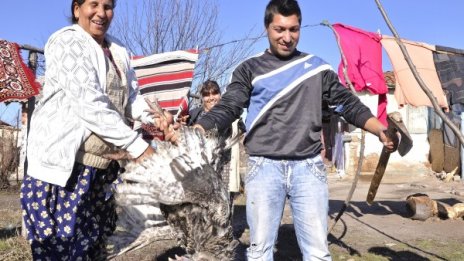 Заобичахме ромите повече от бежанците! А най-много турците!