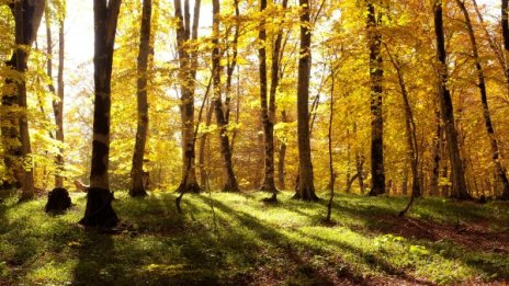 Времето днес: Облаците си отиват, вятърът спира