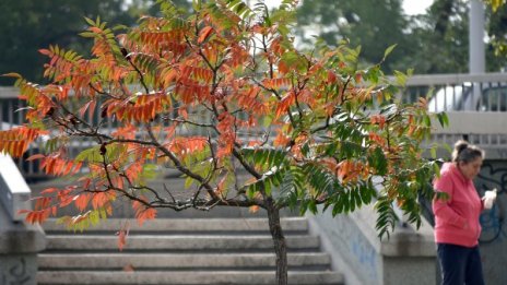 Петъкът облачен, на места ще превали