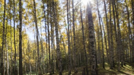 Слънчева и топла неделя, с температури до цели 17&deg;
