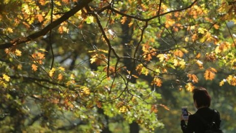 Времето &ndash; меко и днес, след обяд идват облаци и дъжд