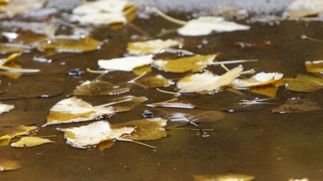 Облачно с леки превалявания, температурите утре до 14&deg;С