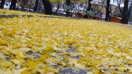 Дъжд, облаци... това ни чака и утре, а и през уикенда