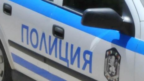 Психар с питбул връхлетя и вилня в психодиспансер