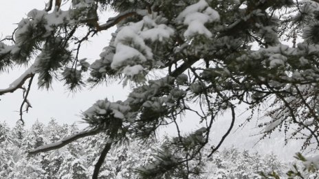 "Татяна" носи код оранжево: Дъжд, сняг и лед почти навсякъде