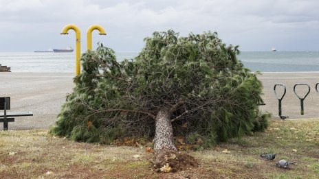 Бурни ветрове причиниха щети в Солун