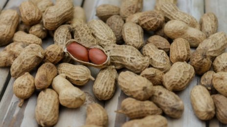 Рецептата Dnes: Как да изпечем вкусни фъстъци? 