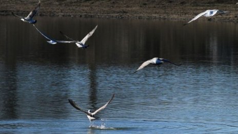 Меко време и слънчев януарски ден ни чака