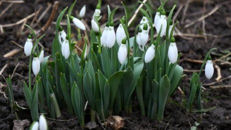 Времето утре: Слънчево и тихо, температури до 15 градуса
