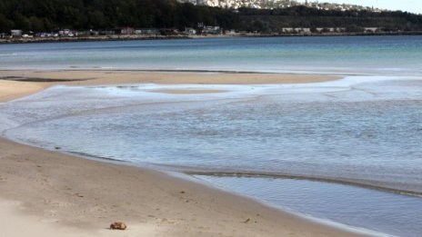 Заради нарушения: Ангелкова заличи 118 туроператора 