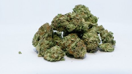 Спипаха двама наркодилъри в Малко Търново