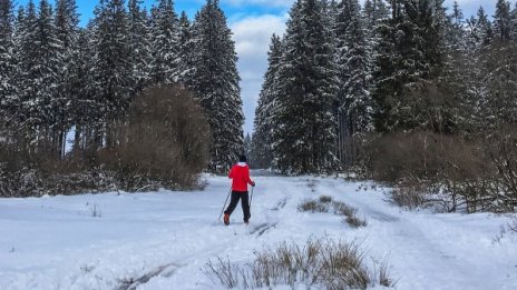 Времето днес: Студена сутрин, слънце през деня