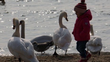 Времето утре: Слънчево, тихо и с малко облачета