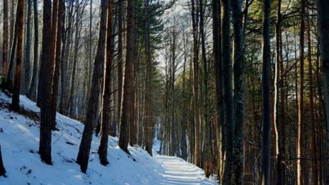 22 градуса &ndash; през февруари, не през май! Но и минус 14