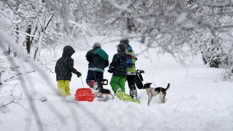 Заради студа и снега: Дървена ваканция в Бургас