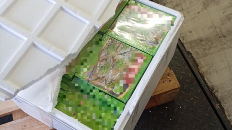 БАБХ конфискува 770 кг турски сладкиши на "Капитан Андреево"