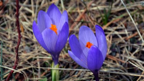 Много слънце ще ни радва и утре, градусите - до 25