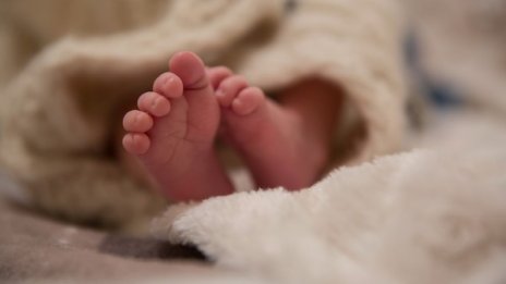 За пореден път: Жена от Мичиган роди 14-ия си син