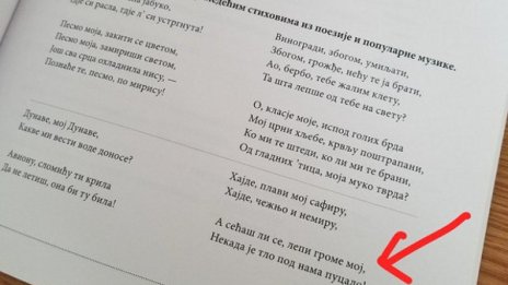 В Сърбия: Текст на песен на Цеца – в учебник!