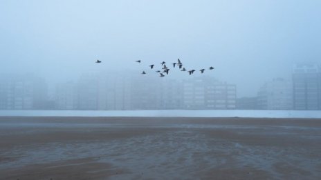 Стихиите в зодиака. Кое е важно да знаем за тях?