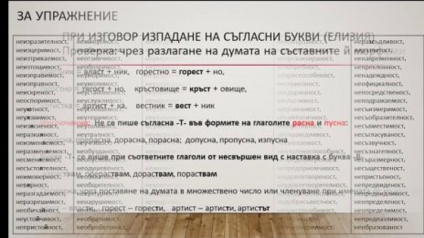 17-и закон от Освобождението насам: "Езикова полиция" ни пази!
