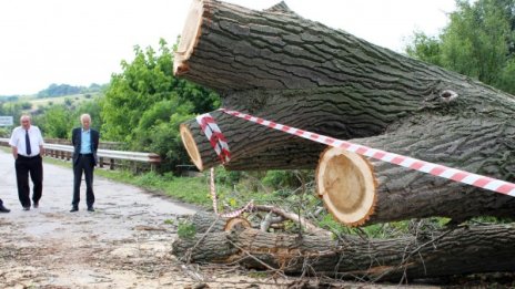 Буря вилня край Хасково - изпочупи клони, повали стълбове...