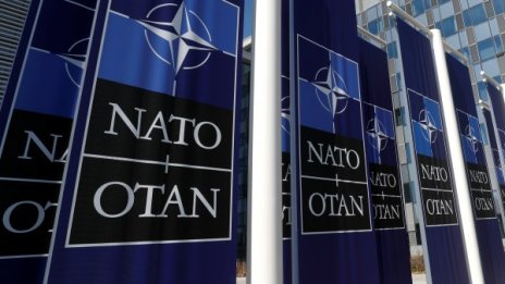 Може ли НАТО да оцелее след Тръмп и Путин?