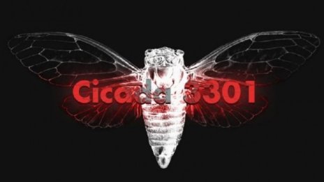"Цикада 3301" –  загадки, пъзели, шифри... Голямата нет мистерия