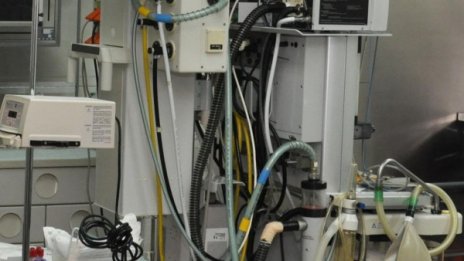 Пенсионерка ударена фатално от рейс на път за Бузлуджа