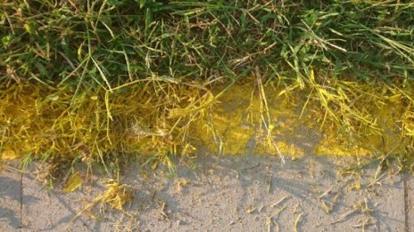 Нова велоалея, а очертанията &ndash; в тревата... Толкова е арт!