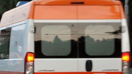 Куче на пътя... Кола в насрещното, сблъсък, смърт!