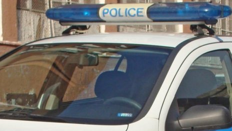 Изкопаха кости в имот в Козлодуй. Човешки ли са?