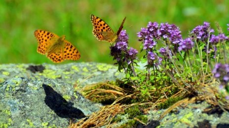 Понеделникът започва с хладно време, ще има и дъжд