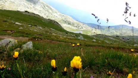 Времето утре: Слънце, облаци, някъде дъжд с гръмотевици...
