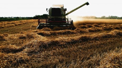 Собственици на земя търсят купувачи за ниви, които не ползват    