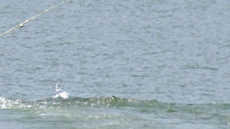 Тяло на издирван изплува в микроязовир в Кърджалийско