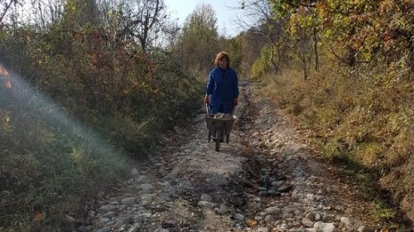 Милиони за пътища ли? Баба мъкне камъни, пълни дупките до дома си 