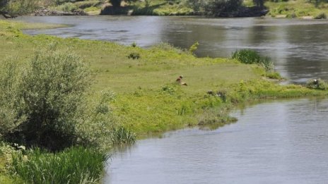Водолази вадят тяло от река Марица в Пловдив