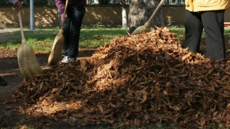 Есен, не есен, падналите листа ядосват софиянци, пречили им!?