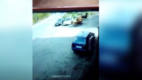 Във Facebook: Кон скочи върху спрял на пътя автомобил!?
