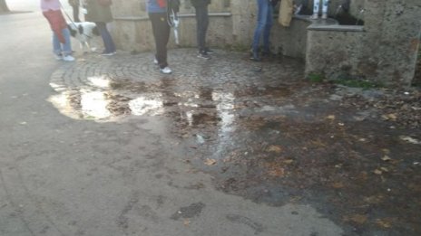 Куче на тераса, течаща чешма, затворена улица от строеж
