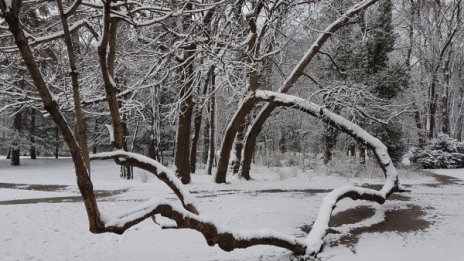Сняг и отрицателни температури в Габровско