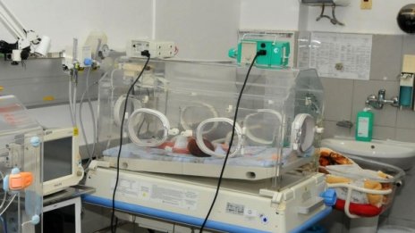 Малките герои в борбата за живота - недоносените бебета 