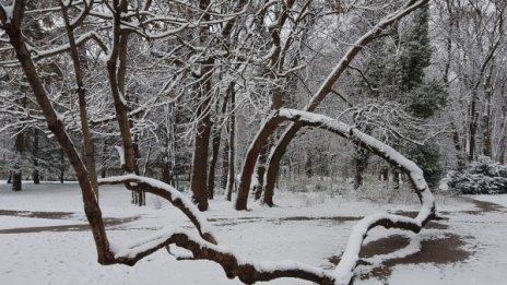 Поверието днес: Топло време – люта зима и сухо лято