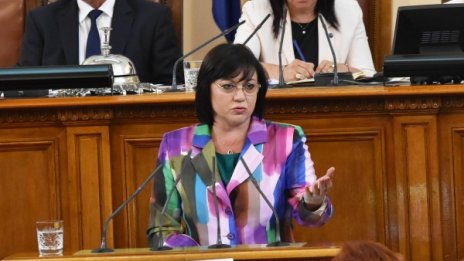 Нинова сигнализира Европа за "полицейщината" 