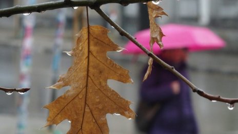 С чадър утре! Дъждове ще обхванат цялата страна